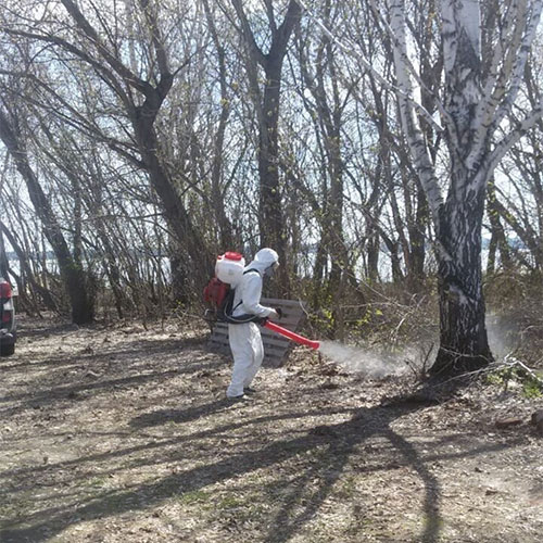 Обновление товаров и услуг в городе
 Лодейное-Поле