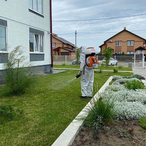 Последние изменения в районе
 Новоизмайловское