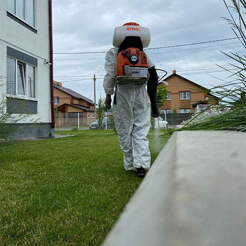 Новые товары и услуги в городе
 Томари