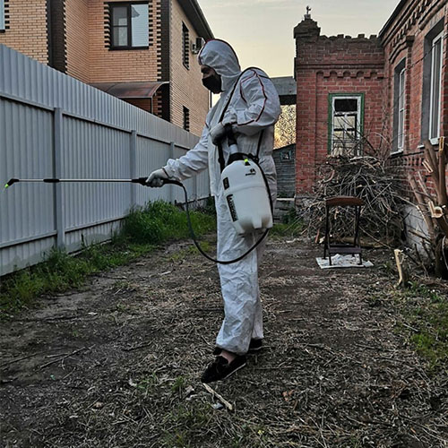 Новые товары и услуги в городе
 Клин