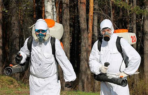 Обновление товаров и услуг в городе
 Тверь