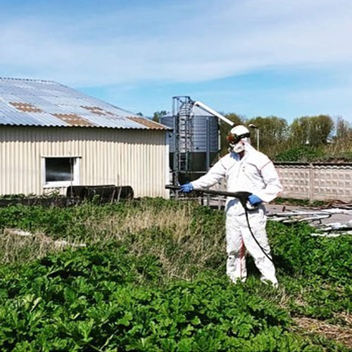 Последние изменения в городе
 Артём