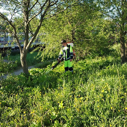 Обновление товаров и услуг в районе метро
 Краснопресненская