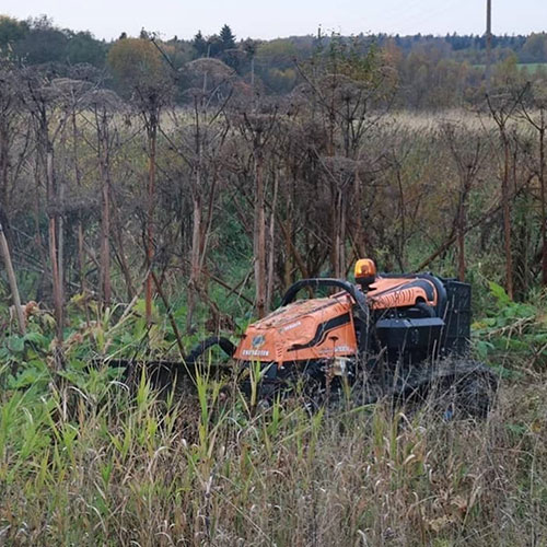 Обновление товаров и услуг в городе
 Суровикино