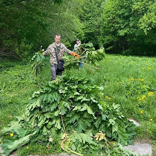 Новые товары и услуги в посёлке
 Богородское