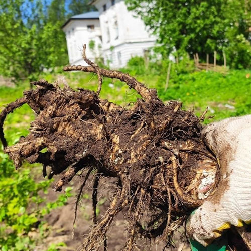 Что нового в районе
 Выхино-Жулебино?