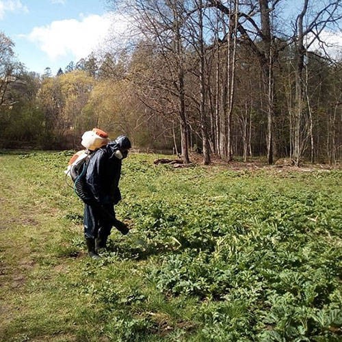 Новые товары и услуги в районе
 Царицыно-М