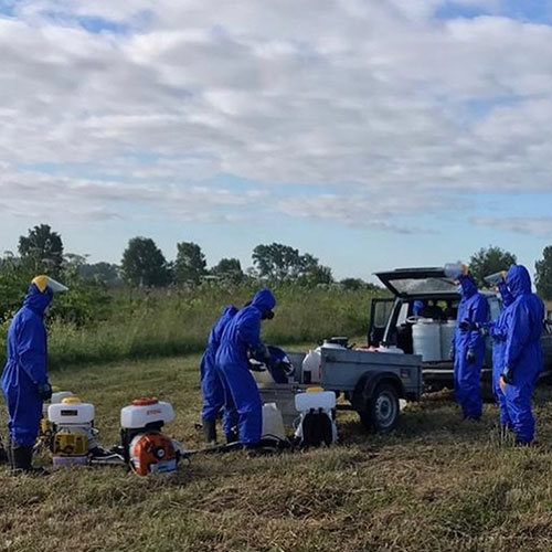 Последние изменения в городе
 Кингисепп