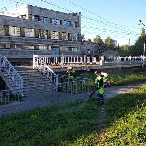 Новые товары и услуги в поселении
 Мосрентген