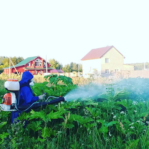 Обновление товаров и услуг в районе
 Можайский